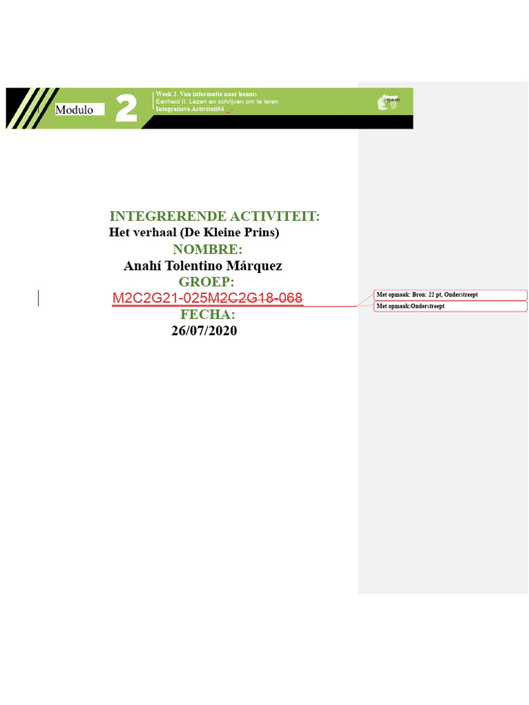 Module 2 Integrative Activity 5 | PDF