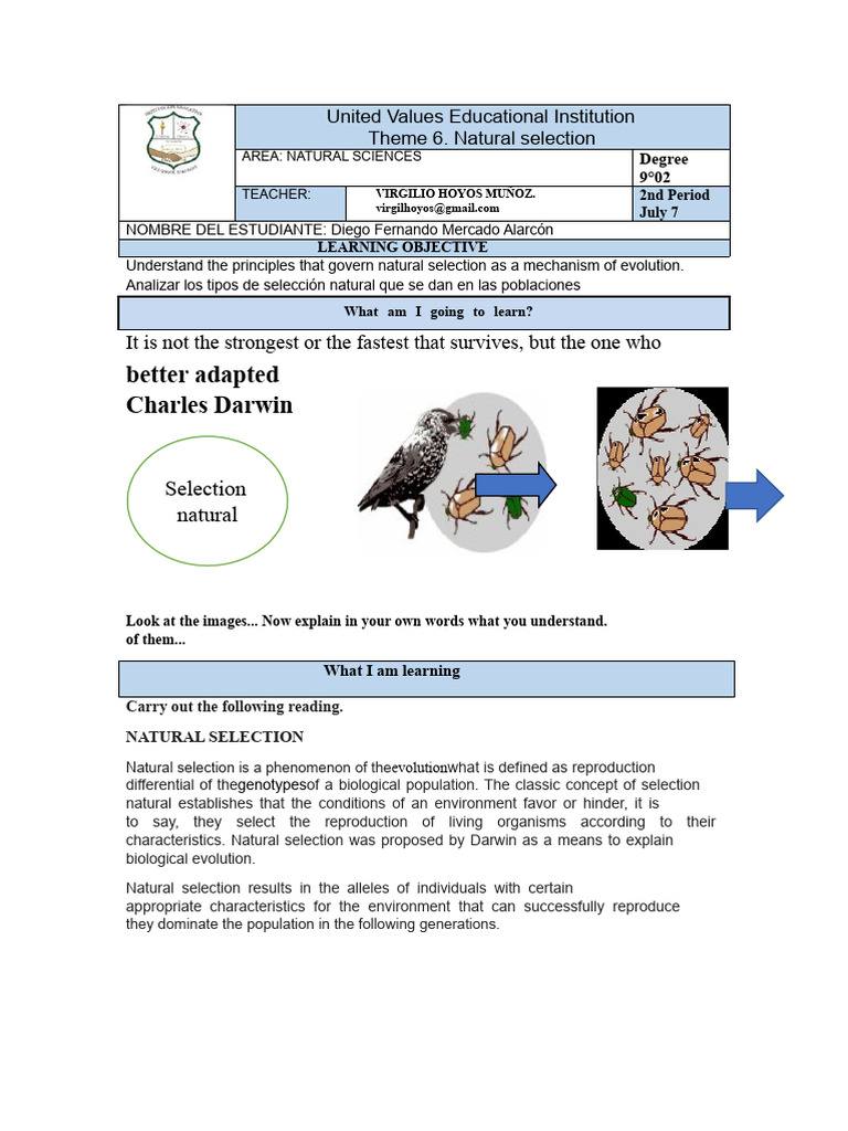 06 Workshop Natural Selection | PDF | Natural Selection | Reproduction