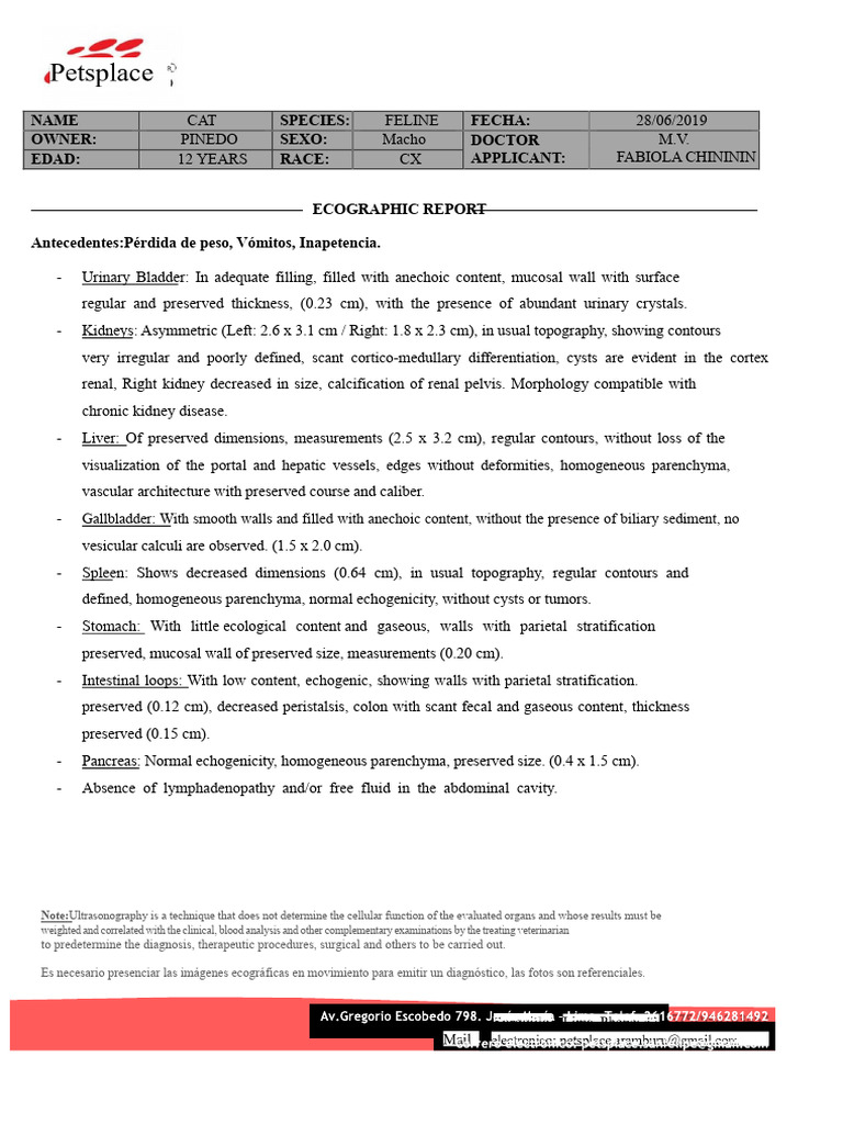 Feline Ultrasound Report for CKD | PDF | Kidney | Liver