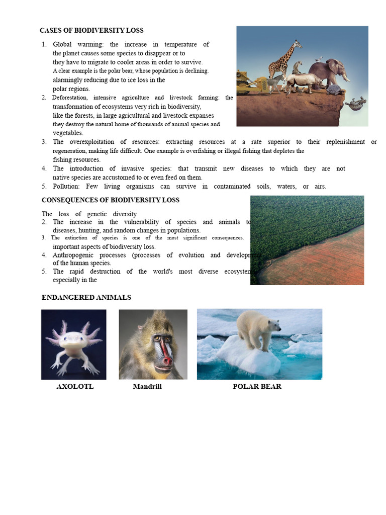 Causes and Consequences of Species Extinction | PDF