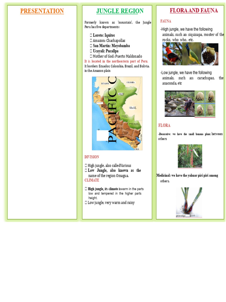 Triptych of The Jungle | PDF | Peru