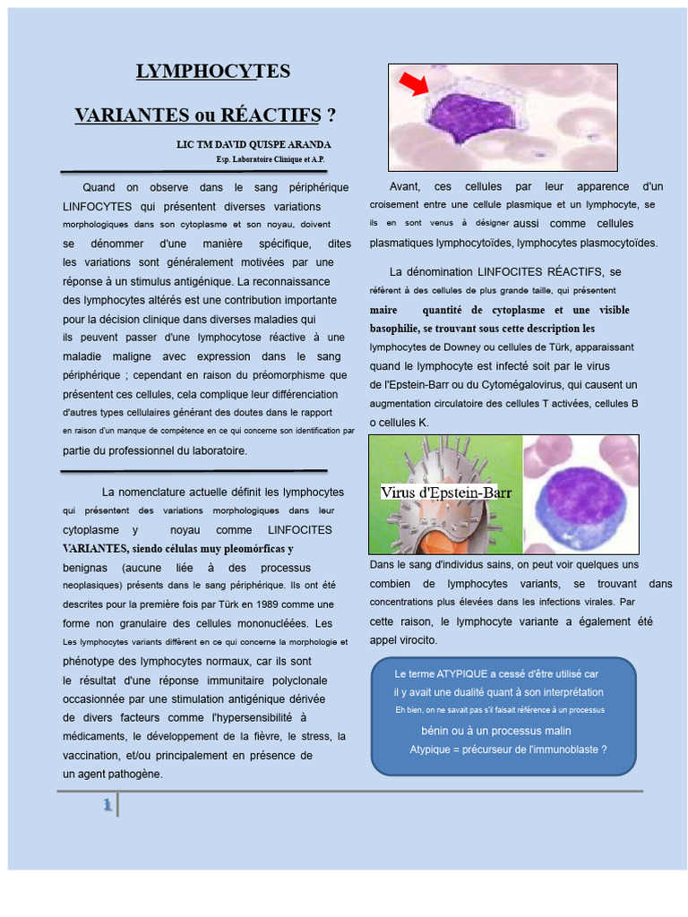 Lymphocytes Variants : Caractéristiques et Identification | PDF ...