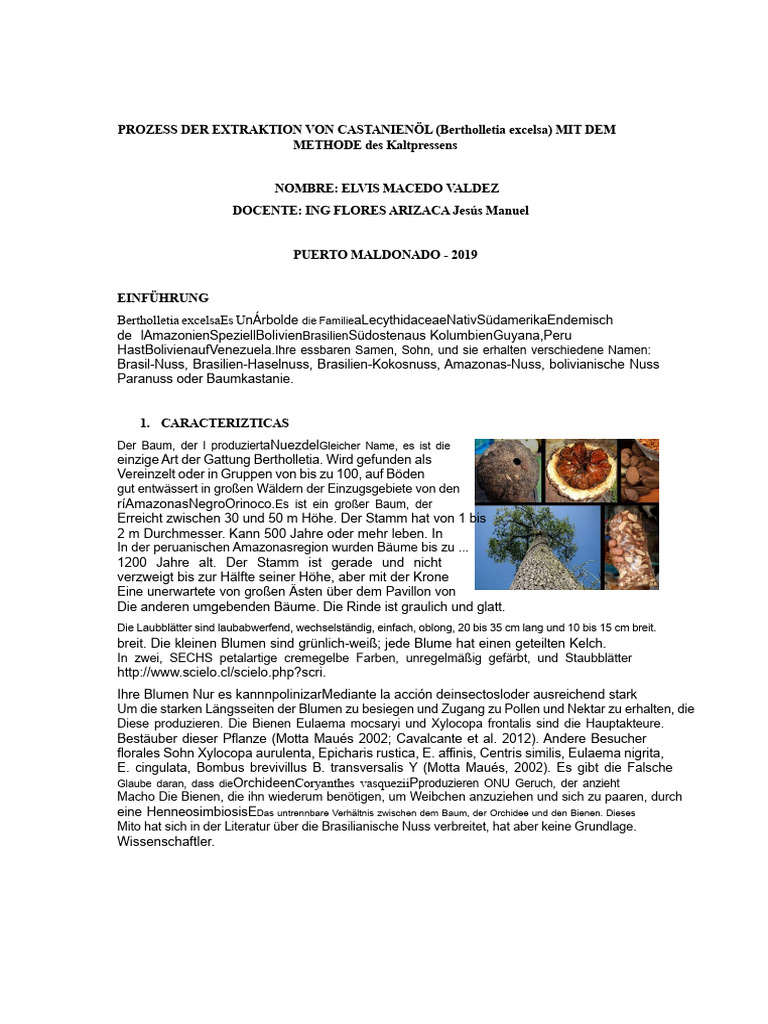 Prozess Der Extraktion Von Kastanienöl. | PDF