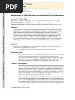 Download Mechanisms of Tooth Eruption and Orthodontic Tooth Movement by Smr Azghadi SN97132182 doc pdf