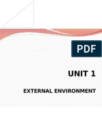 External Environment: Unit 1