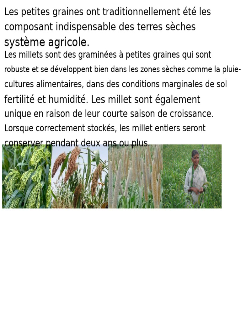 Avantages nutritionnels des millets | PDF