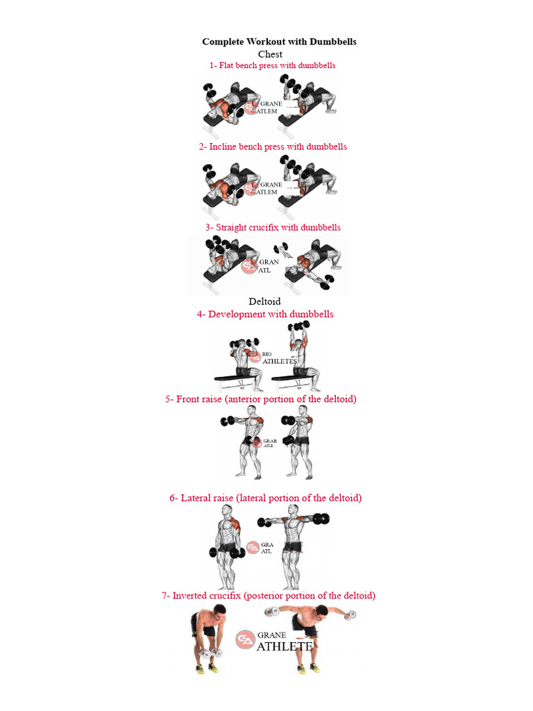 Complete Dumbbell Workout Guide | PDF | Strength Training | Weight Training