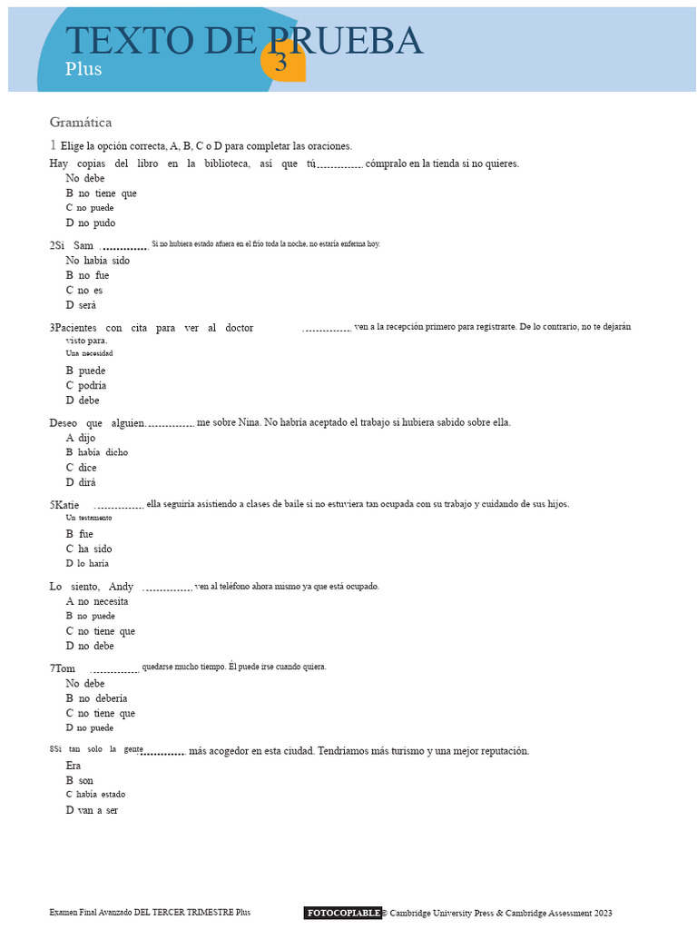 Prueba de Término 3 Plus | PDF