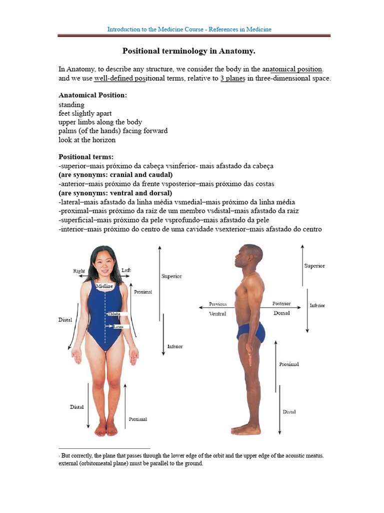 AU1100008_Positional Terminology in Anatomy | PDF | Anatomical Terms Of ...