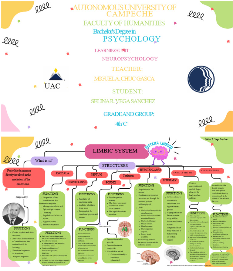 Limbic System Functions in Neuropsychology | PDF | Limbic System | Emotions