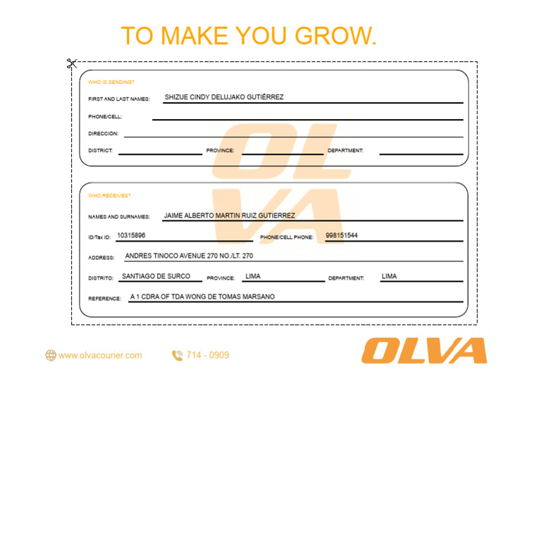 Courier Delivery Information Form | PDF