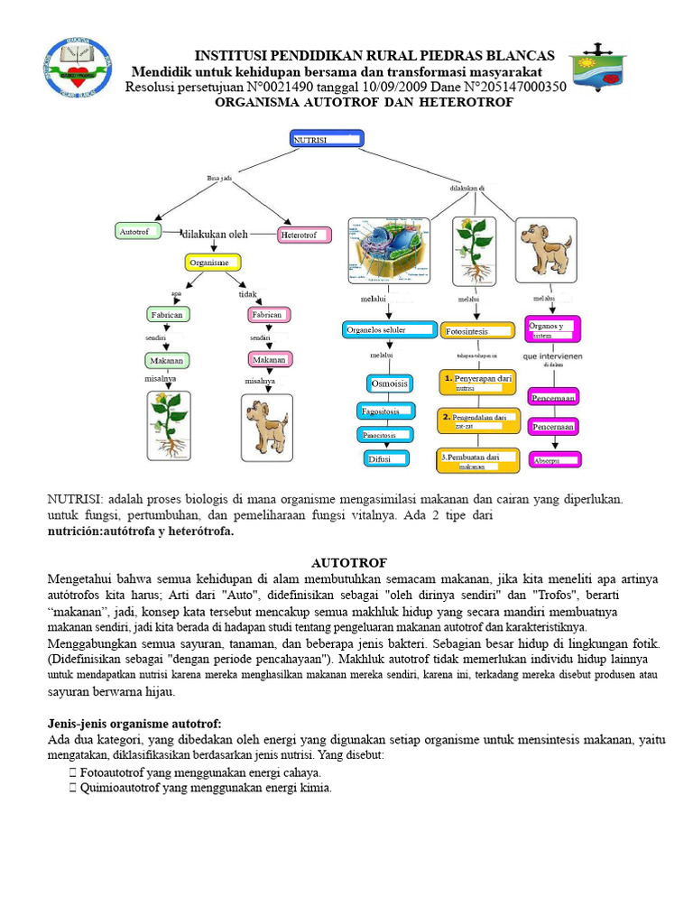 Autotrof dan Heterotrof: Nutrisi Organisme | PDF