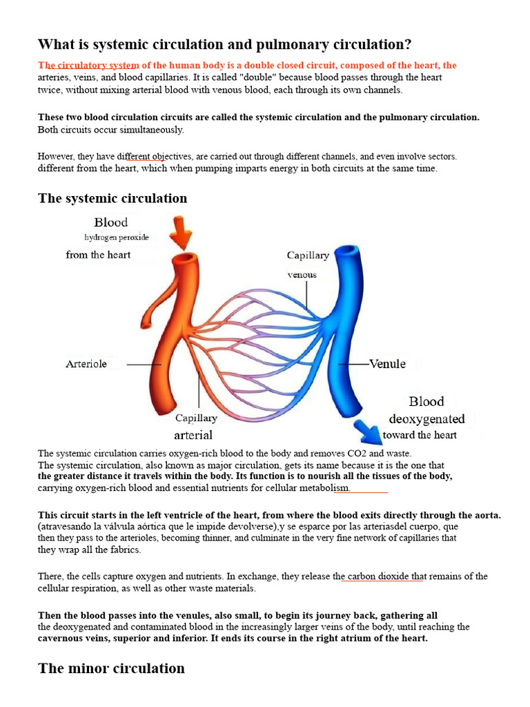 1.1 What is the systemic circulation and the pulmonary circulation ...