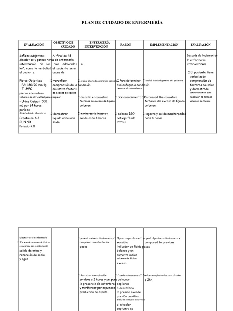 Plan de Cuidado de Enfermería | PDF | Riñón | Sodio