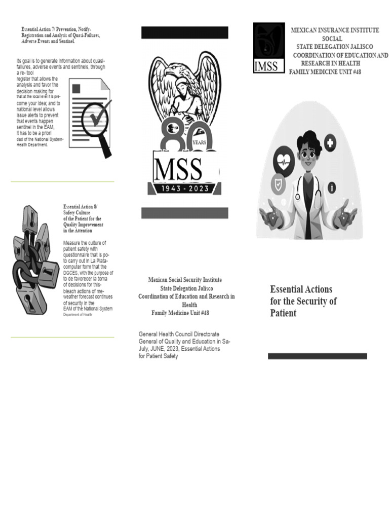 Essential Actions For Patient Safety Brochure | PDF | Patient Safety ...