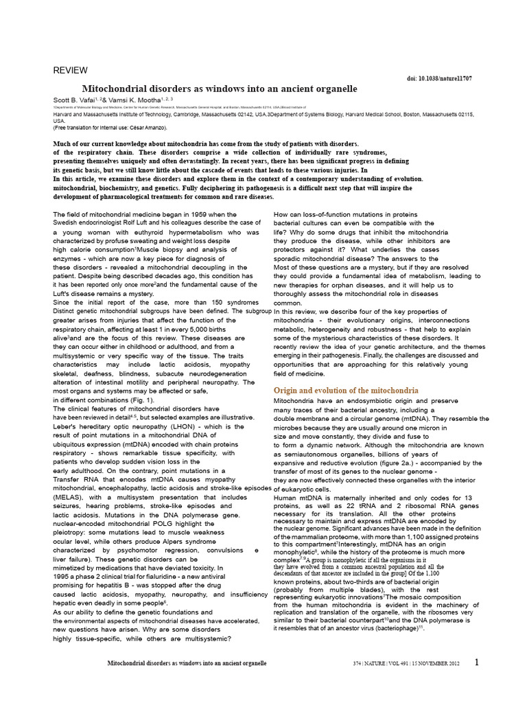 Mitochondrial Disorders and Evolution Insights | PDF | Mitochondrion ...
