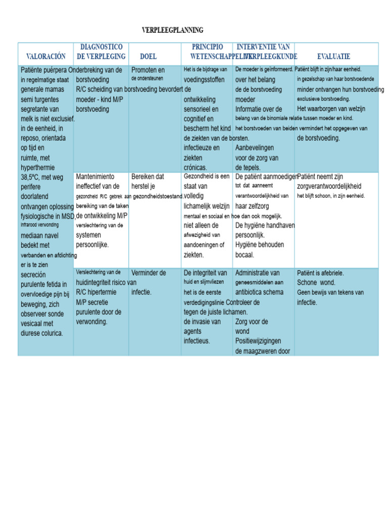 Zorgplan | PDF