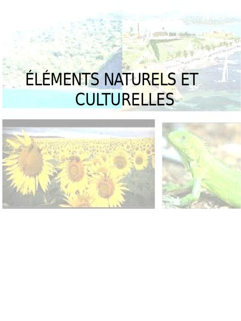 Éléments naturels et culturels expliqués | PDF