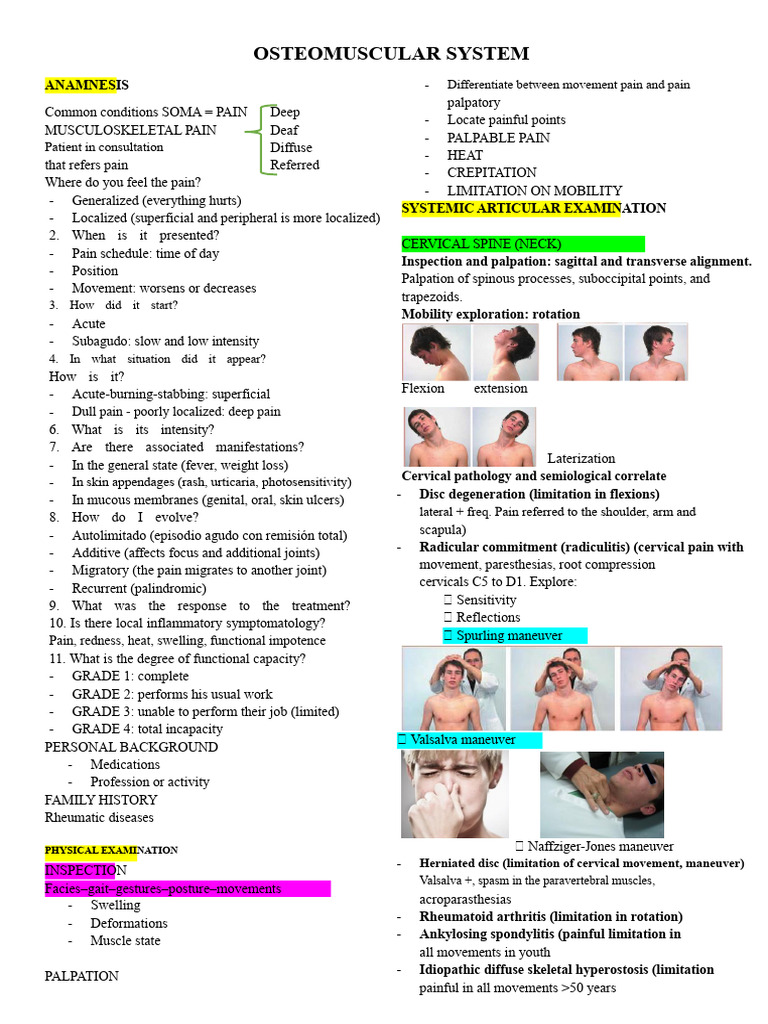 musculoskeletal system | PDF | Hip | Knee
