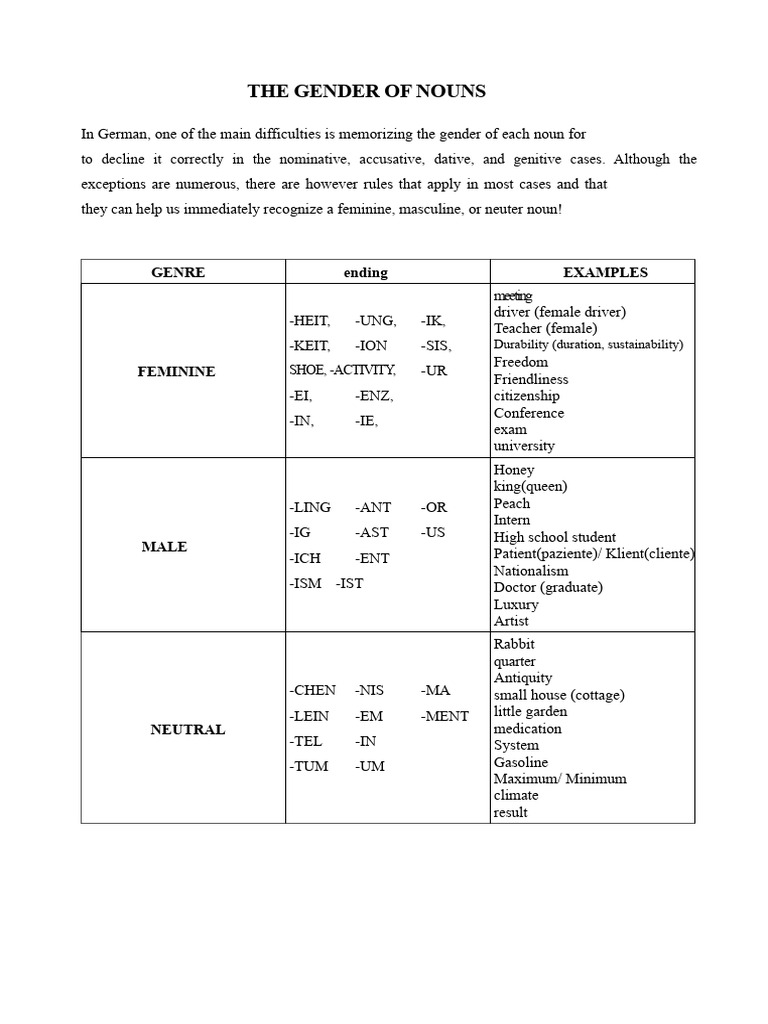 Understanding German Noun Genders | PDF | Grammatical Gender | Morphology