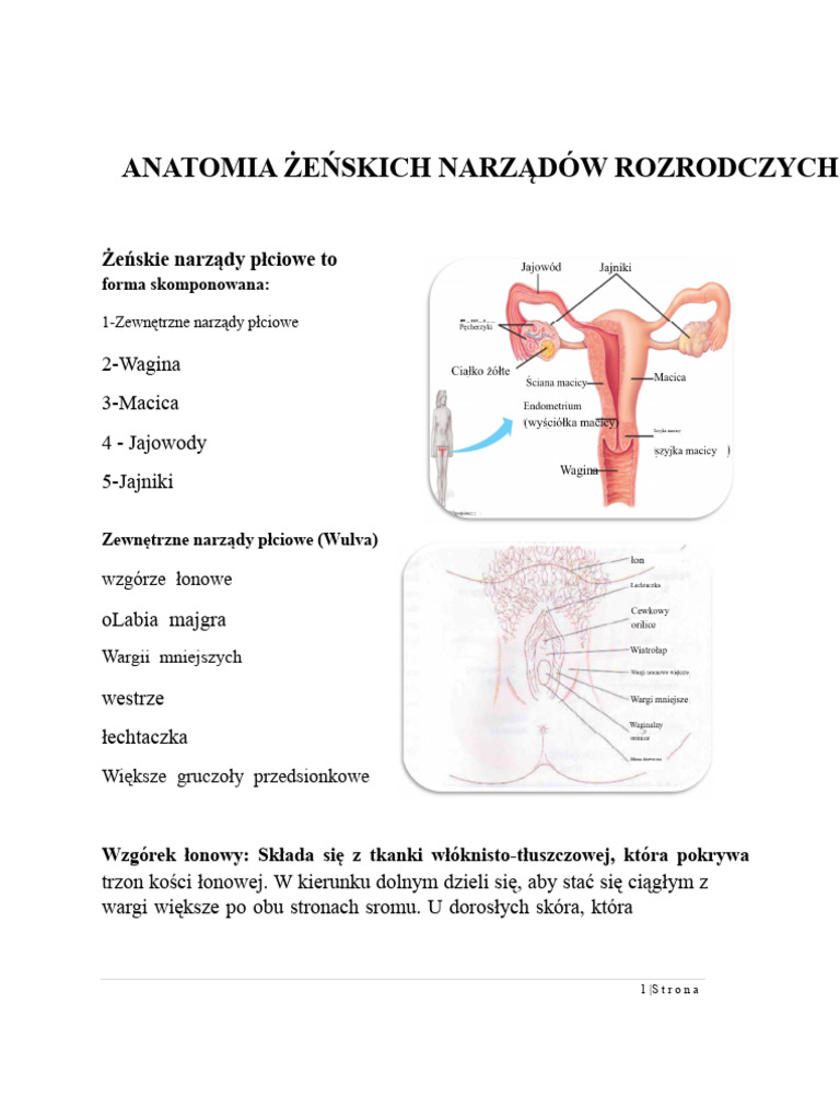 01-anatomia-e-skiego-uk-adu-rozrodczego-pdf