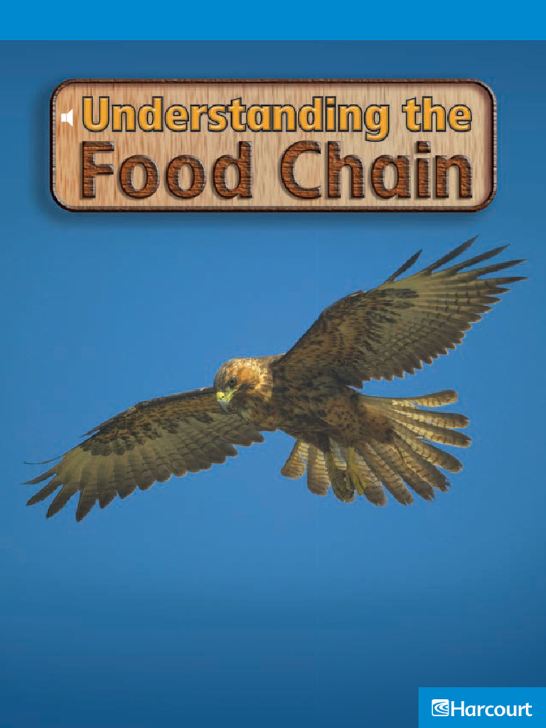 Understanding The Food Chain | PDF | Foods | Predation