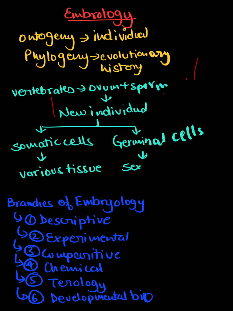 Embryology _250604_200049 | PDF