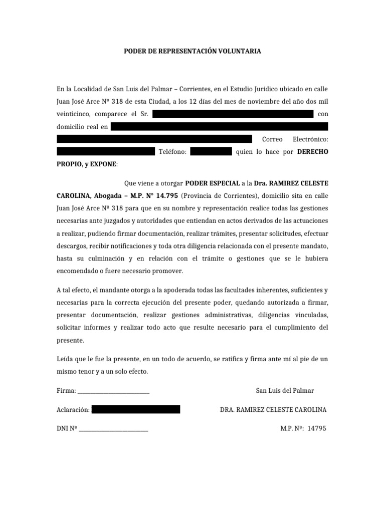 Modelo Poder Especial de Representacion Con Patrocinio | PDF