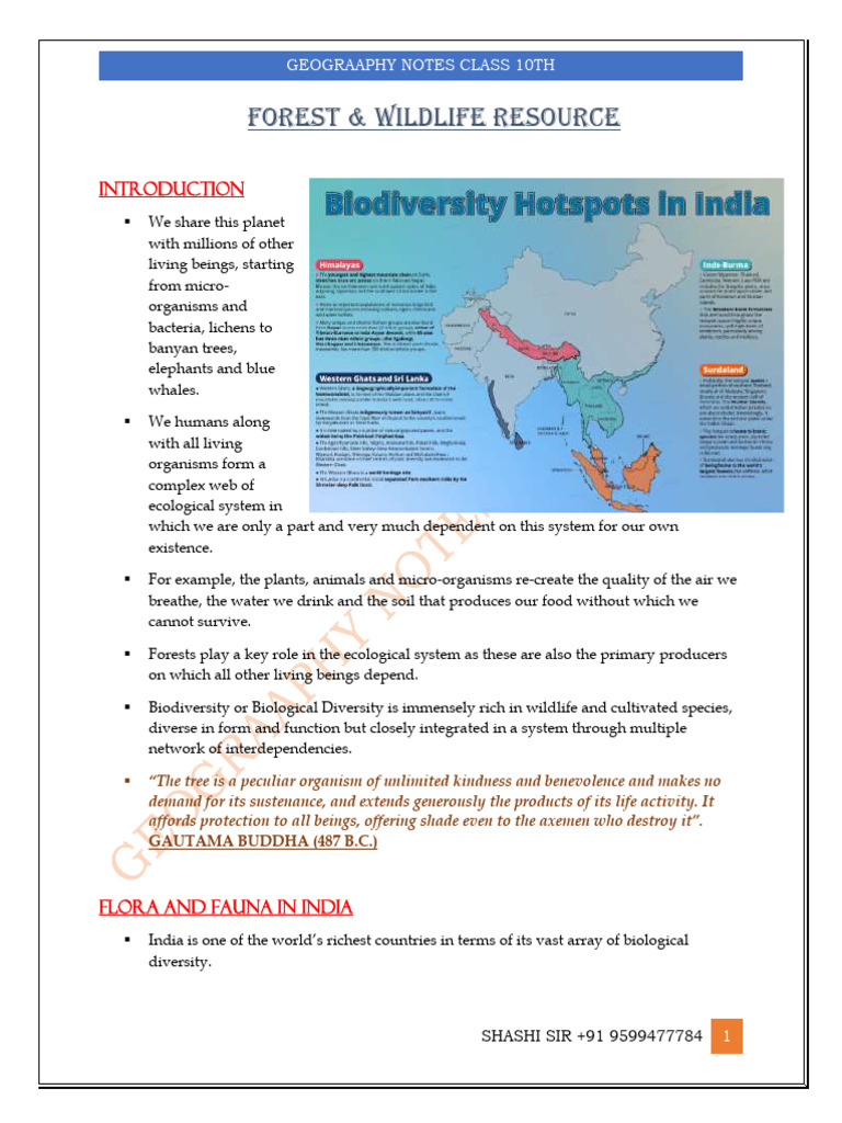 Class 10 Geography: Forest & Wildlife Notes | PDF | Tiger | Biodiversity