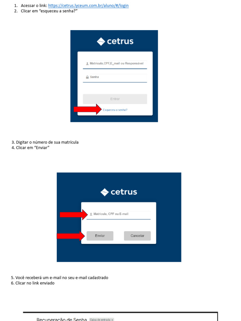 Como redefinir sua senha no portal Cetrus | PDF