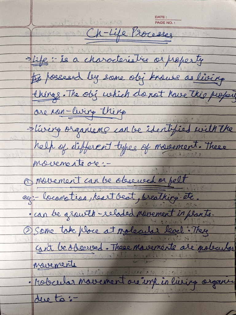 Life Process Chapter Notes | PDF