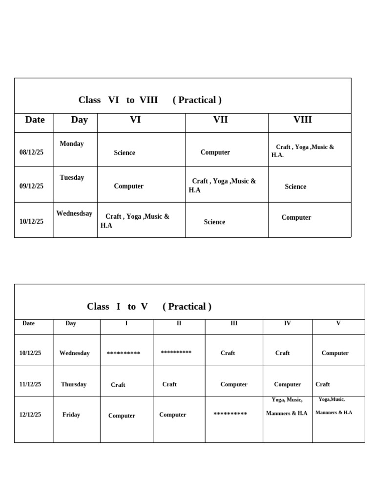 Class VI-VIII & I-V Practical Schedule | PDF