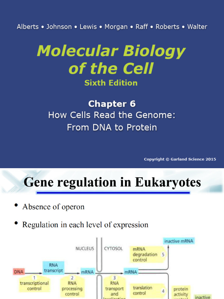 MCB Transcription 092223pdf | PDF | Regulation Of Gene Expression | Gene
