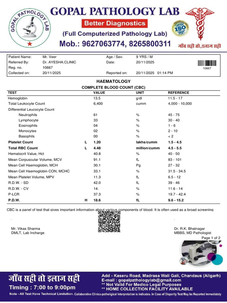 Complete Blood Count (CBC) Results | PDF | White Blood Cell | Clinical ...