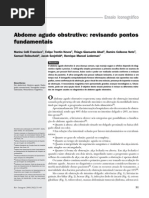 Download Abdome Agudo Obstrutivo - Revisando Alguns Pontos Fundamentais by Bruno Oliveira Rocha SN97147962 doc pdf