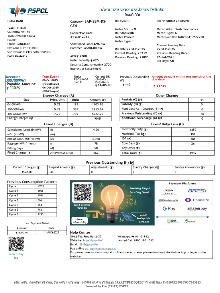 Electricity Bill Details for USHA RANI | PDF | Electric Power | Power ...