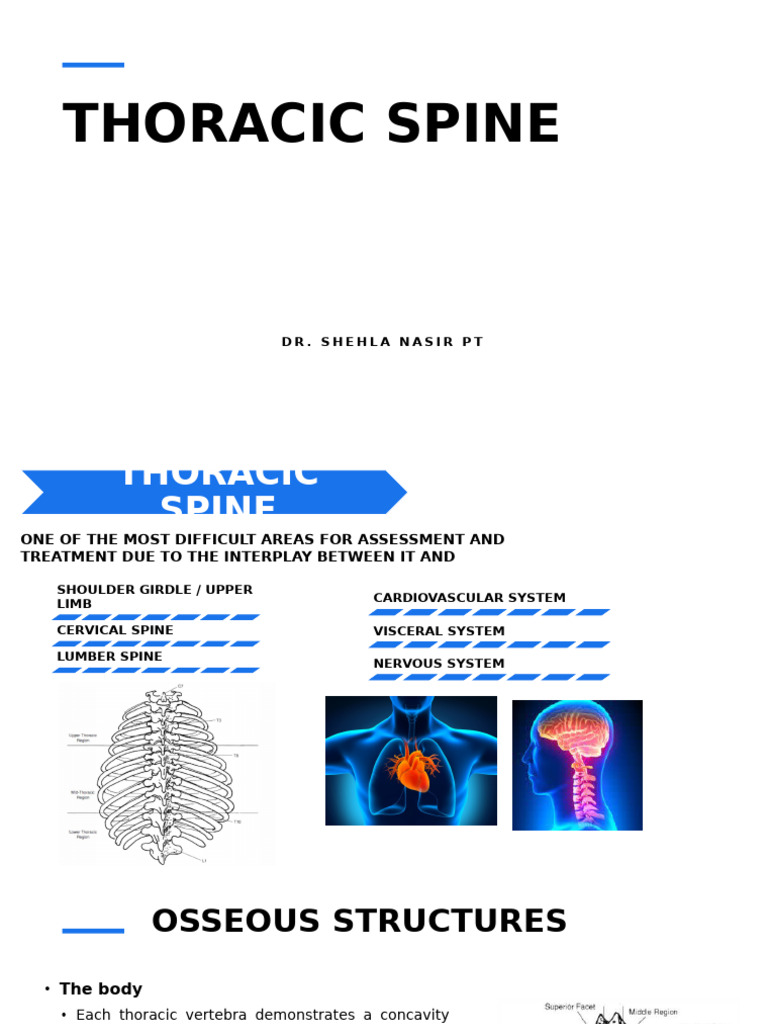 Thoracic Spine Assessment and Treatment | PDF | Vertebra | Thorax ...
