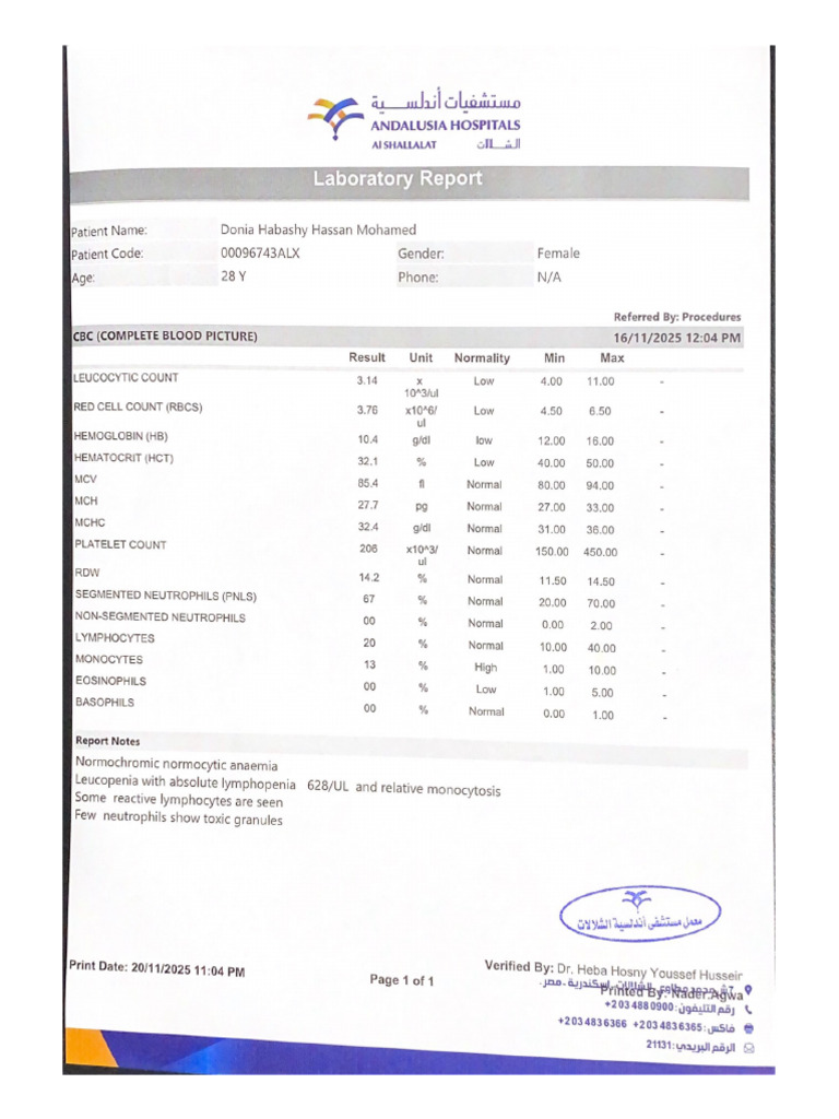Laboratory Report | PDF