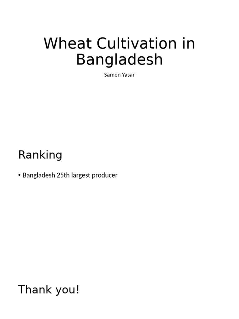 Wheat Cultivation in Bangladesh | PDF