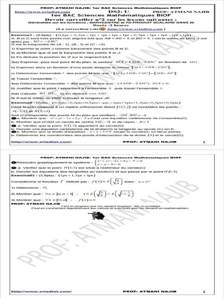 ds2 20 Sans 1sm | PDF