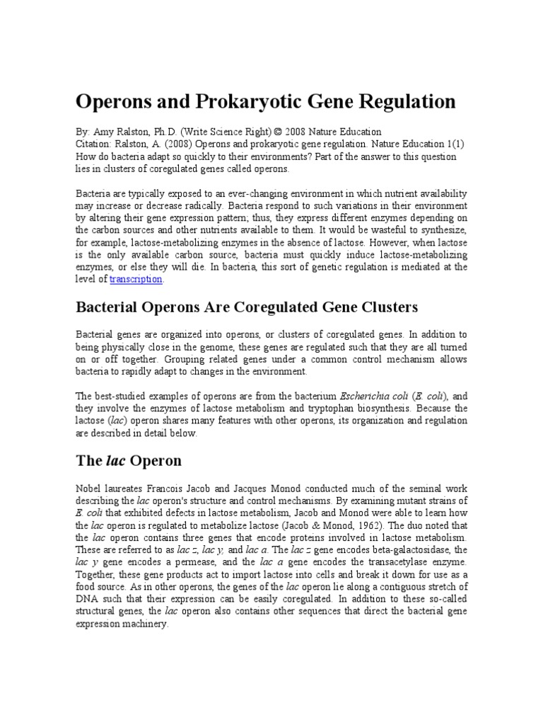 Operons and Prokaryotic Gene Regulation 7 | PDF | Operon | Gene
