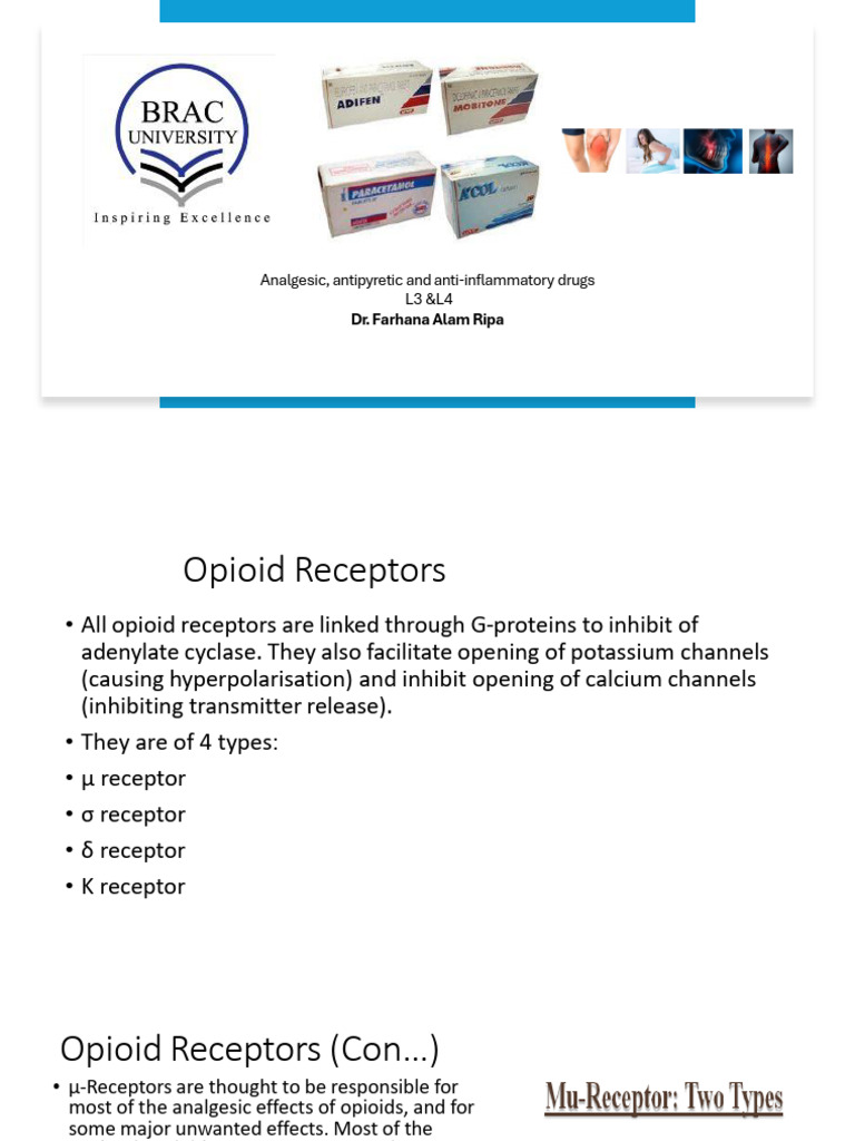 Opioid and Non-Opioid Analgesics Overview | PDF | Opioid | Morphine