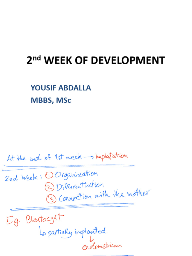 Lecture 5 - 2nd Week of Development 2 | PDF