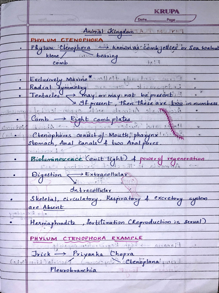 Animal Kingdom Handwritten GM NOTES | PDF