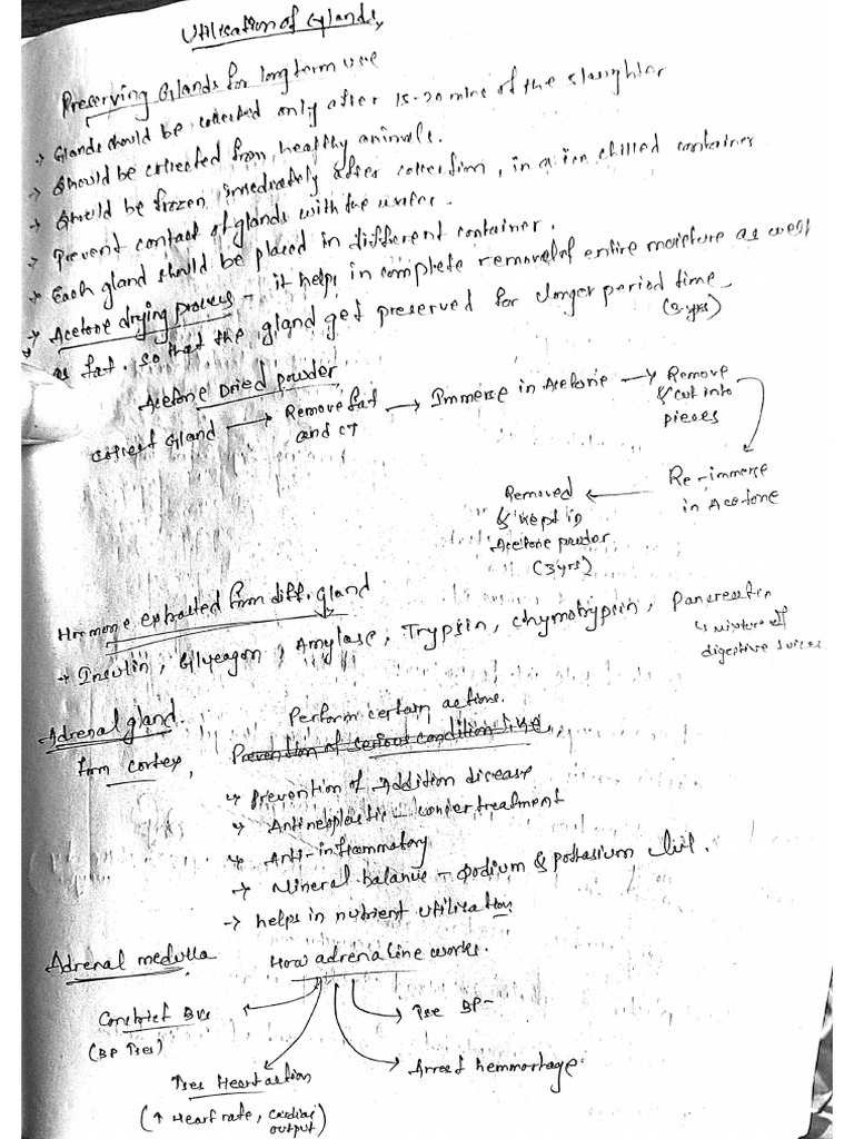 3rd exam LPT | PDF