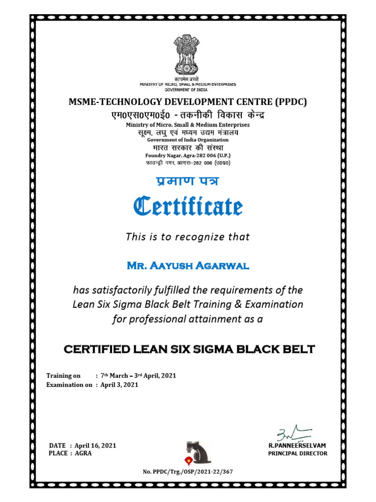 Certified Lean Six Sigma Black Belt | PDF