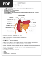 Cockroach Body Segmentation Overview | PDF