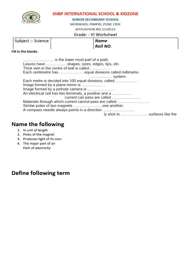 Science Revision Worksheet for Grade VI | PDF | Leaf | Magnet