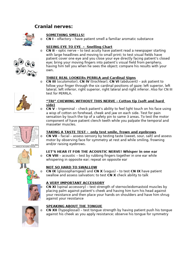 Comprehensive Cranial Nerve Assessment Guide | PDF