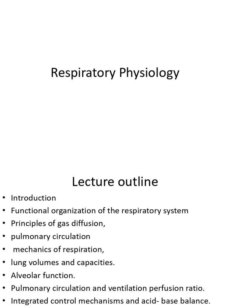 Understanding Respiratory Physiology | PDF | Respiratory Tract ...